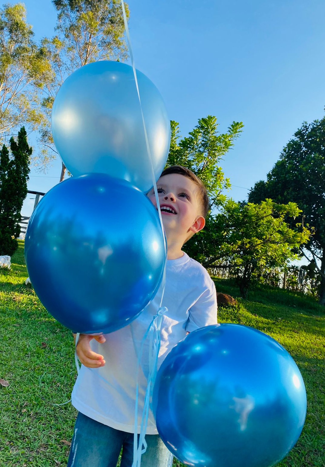 Arco de balões orgânico Campinas — decoração de festa infantil
